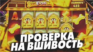 РИСКНУЛ И УШЕЛ В ALL IN В СОБАКАХ! СЛОВИЛ МНОГО ВИЛДОВ  ЗАНОС !