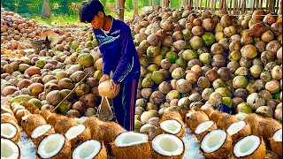 Coconut Cutting Skills! Cutting Millions of Coconut per day | Thai Street Food