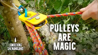 Block & Tackle: See How a Rope and Two Pulleys can move huge logs with even a small ATV.
