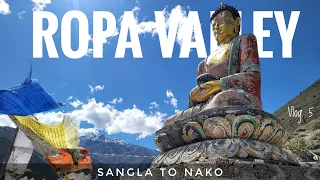 Ropa Valley | Kinnaur | Sangla to Nako | Sunnam | Rushkalang | Kinnaur & Spiti with Kids and Family