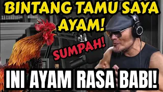 BARU KALI INI GUE PODCAST SAMA AYAM... AYAM‼️🤣 PUTRA Ayam Adi Sudirja Ngamuk di Podcast.