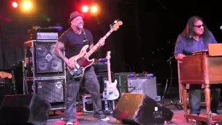 "I'm Back" WALTER TROUT  8/8/15 Heritage Music BluesFest