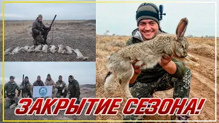 СУПЕР ОХОТА! ДОБЫЛИ 13 ЗАЙЦЕВ! Охота на зайца 2022. Охота на зайца с дратхааром. Охота в Казахстане.