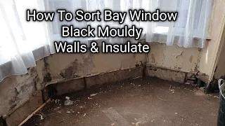 How To Sort Mould In A Bay Window Area