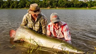 PIRARUCU -  FlyFishing the Biggest Arapaima Reserve in the planet!