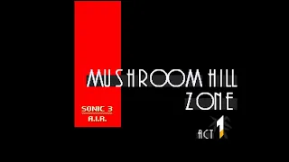 Sonic 3 A.I.R. - Mushroom Hill Zone Act 1