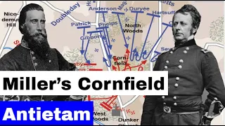 Miller's Cornfield, The Battle of Antietam | Animated Battle Map