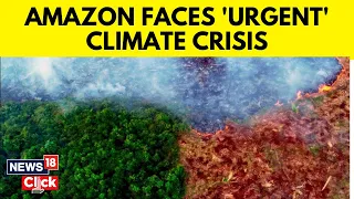 Amazon Climate Crisis | Amazon Rainforests Faces Severe Drought And High Temperatures | N18V