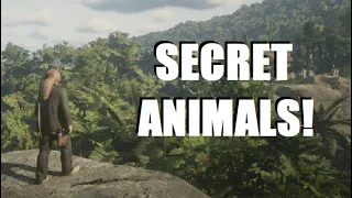 Two Secret HIDDEN ANIMALS Found in Red Dead Redemption 2!