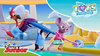 ☀️ Rutina de dimineață! | T.O.T.S. | Disney Junior România