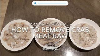 How To Remove Crab Meat Raw วิธีแกะเนื้อปูม้าดิบ[Blue Swimmer Crab]