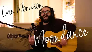Moondance (Van Morrison) Acoustic Cover