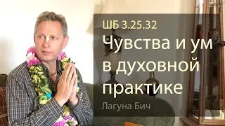 2019-04-06 - ШБ 3.25.32 - Чувства и ум в духовной практике (Домашняя программа, Лагуна Бич)