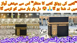 Kabe ki ronak kabe ka manzar | Naat sharif | naat | hajj kalam