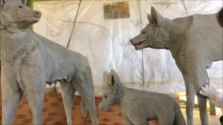 DIY - Escultura em concreto de Lobo Guará - Maned Wolf cement statue