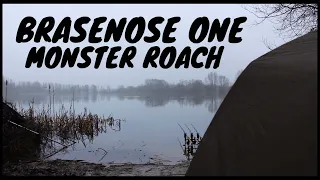 LINEAR FISHERIES **Chasing a Monster Roach**