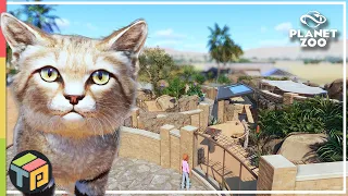 Can you really squeeze a habitat in there?! | Sand Cat Habitat | Zimba Zoo | Planet Zoo