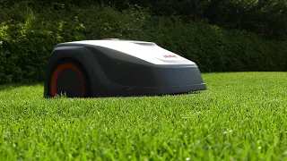 Robot koszący trawnik - zalety i wady po 2 latach