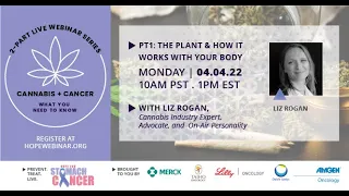 Cannabis 101: How The Plant Works In Your Body PART 1 of 2- APRIL 4th