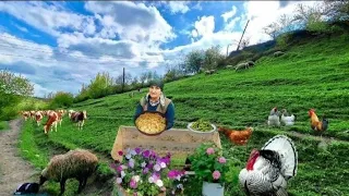 Cooking minced meat with potatoes and Maserelli cheese. And on the salad, the usual nettle.