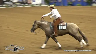 Cee Mr Stop shown by Brian Bell   2020 NRBC FINALS   Open Classic, Sec  2