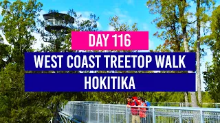 DAY 116 🌲 West Coast Treetop Walk - Hokitika - New Zealand Travel