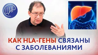 HLA-гены и их связь с заболеваниями. Гемохроматоз, адреногенитальный синдром. Гузов И.И.