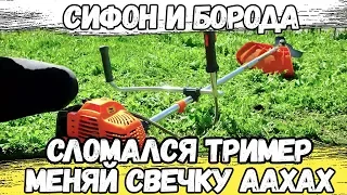 МОМЕНТЫ ИЗ ЖИЗНИ СИФОНА И БОРОДЫ ЧАСТЬ 1