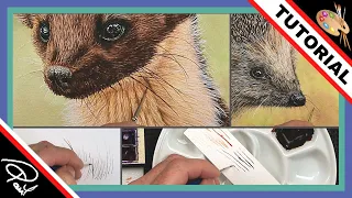 Using Watercolor for FINE LINES - Painting WHISKERS