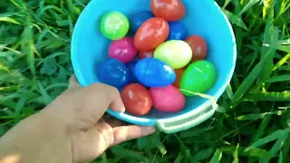 Telur Ayam Warna Warni Kejutan Seruuu , Telur Ayam Warna Warni , Ayam Rainbow , Bebek , Angsa