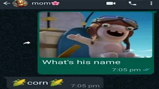 making my mom guess the names of Rabbids invasion characters🐰🥨