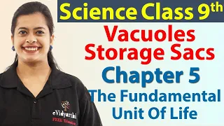 Vacuoles - Storage Sacs - Chapter 5 - The Fundamental Unit Of Life - Science Class 9