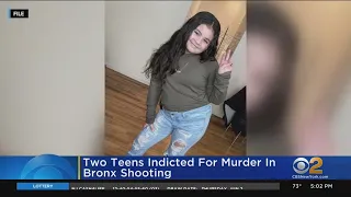 Two teens indicted for murder in Bronx shooting