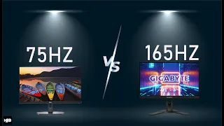 Does High Refresh Rate Matters ? |  75hz vs 165hz