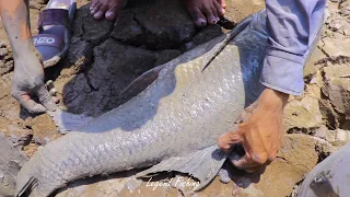 Awesome Fishing | Again And Again For Find Fish On Dry Season In A Big Dry River Near The Villages