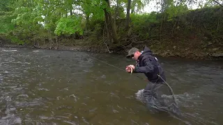 Fly Fishing Central PA for wild Brown Trout ( Floating the sighter)