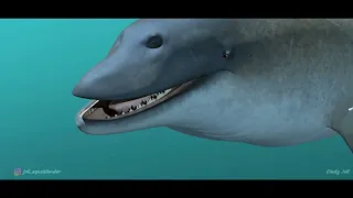 Perucetus Animation