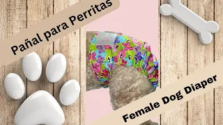 Pañal para perrita  /Female Dog Diaper