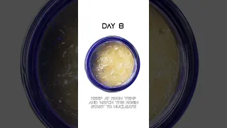 How To: Cold Cure Rosin