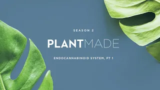 Episode 1, The Endocannabinoid System Pt  1