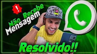 WhatsApp Não Recebe Mensagem Como Resolver - 2024