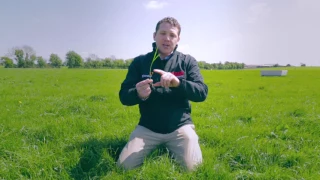 Grassland Management Tips for dairy cows