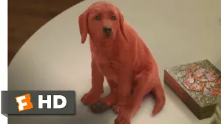 Clifford the Big Red Dog (2021) - Clifford Comes Home Scene (1/10) | Movieclips