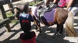 Poney club d'orgeres sept 2019