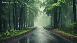 Rain in the forest path, sleep, relax, meditate, study, work, ASMR/Healing Now - Relaxed ASMR