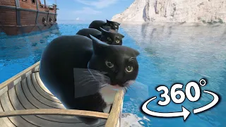 Maxwell The Cat 360° - IN CARIBBEAN SEA !!