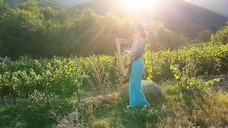 Celtic Harp Solo "Everywhere"  (Harfenmusik, harpe celtique) // Nadia Birkenstock