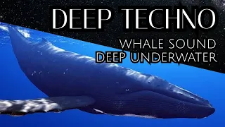 Deep Techno with Underwater Ambient Sounds of Whales and Bubbles (Relax 127 BPM)