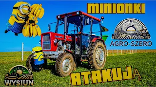 Jedyna taka 30-stka na polskim YT u AGRO-SZERO