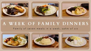 WEEK 53| FAMILY DINNERS OF THE WEEK | family of eight, evening meal ideas, meal plan🍝🥙